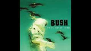 Bush -The Chemicals Between Us