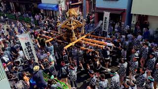 2026.8.9 A quadrennial "Mikoshi" parade of Tokyo Shintoism Shrine.