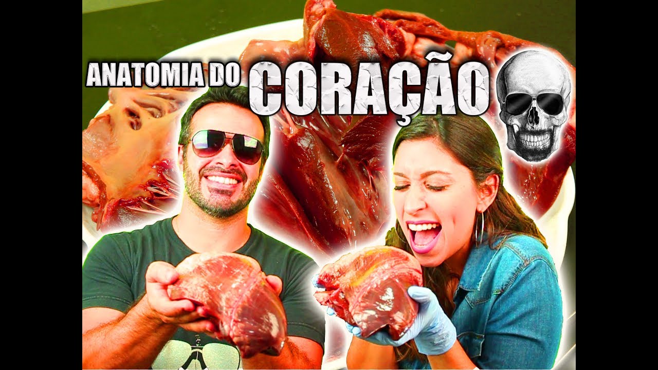 Anatomia do Coração | Aula Prática ft Natália Reinecke (Anatomia e Etc) | Anatomia Humana