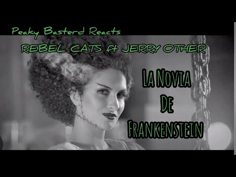 Rebel Cats ft Jerry Other - La Novia De Frankenstein (Vampiro as The Monster) reaction video