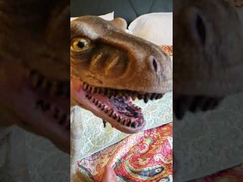 Songs in real life kids style 3 laser tag edition