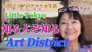 [ 70代シニアアメリカ生活]   [little Tokyo]  ⭐️Art district はユニークな隠れ街…