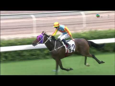 2020 The Lion Rock Trophy G3 - Ka Ying Star (嘉應之星) - C.Schofield