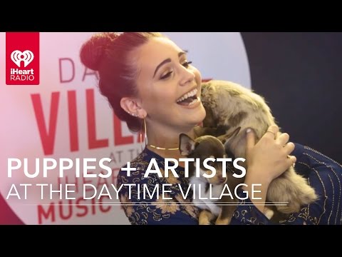 Troye Sivan + Hailee Steinfeld + Cute Puppies = AWWWW!