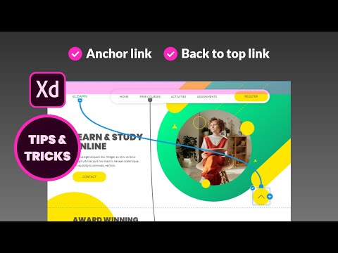How to Create Anchor Link and Back to Top Link in Adobe XD Tutorial (Tips & Tricks)