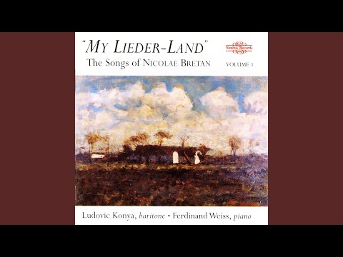 Si Daca Ramuri Bat In Geam