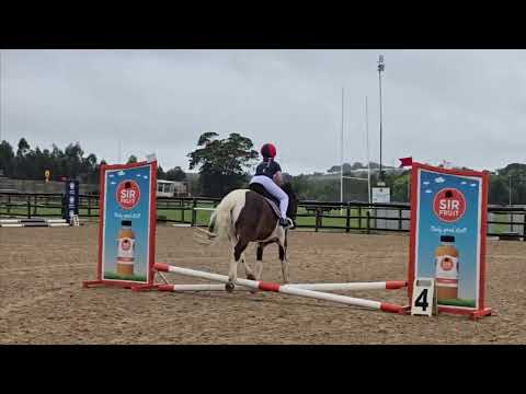 Isabella Kruger 30cm - SAPC