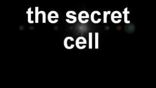 SLEEPER CELLS SECRETS COVER UPS and GOV. HITS