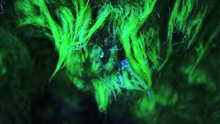 Amulets – “The New Normal” (feat. More Eaze)