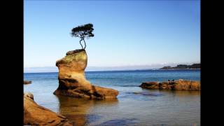 Brony FanFics: The Good Ship Lifestyle