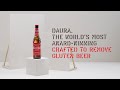 Daura AWARD WINNING CRAFTED TO REMOVE GLUTEN BEER
