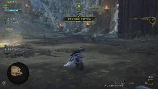 [ワイルズ]てーきはいしん[PS5][参加可]