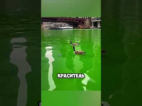 Секрет, который скрывает река Чикаго 🤯 #short