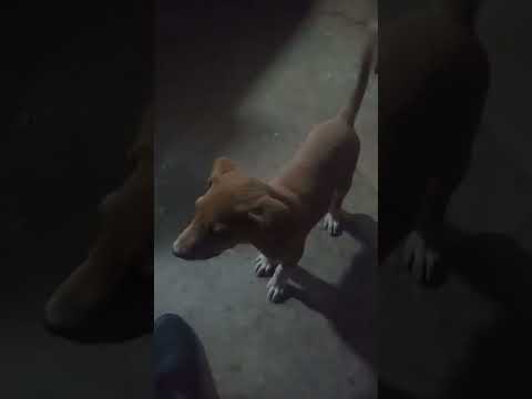 ١ فبراير ٢٠٢٤