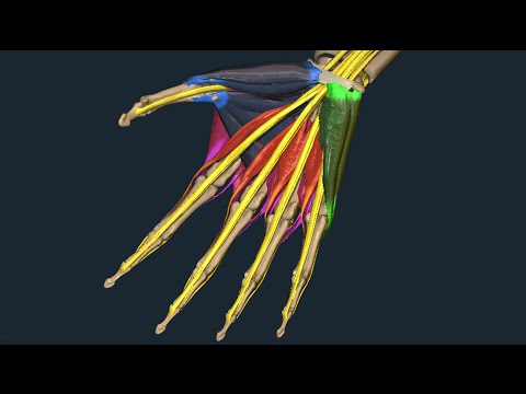 Hondroksid in osteocondrosi della zona lombare Articolazioni male come bruciore