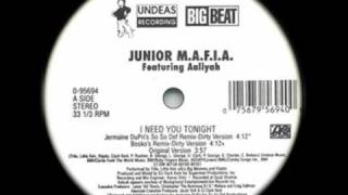 Junior M.A.F.I.A. feat. Aaliyah - I Need You Tonight (Bosko's remix)