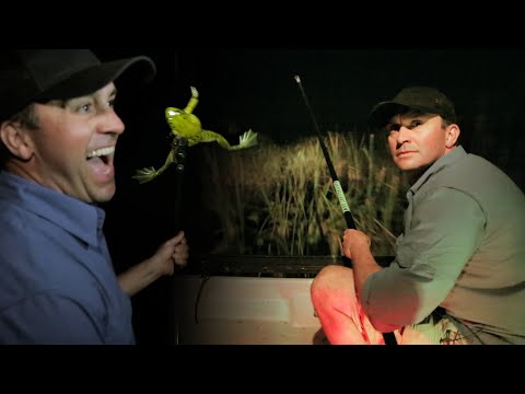 JE CHASSE DES GRENOUILLES DANS LES EVERGLADES - Cyril Chauquet