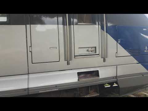 Regiocalatori iasi brasov