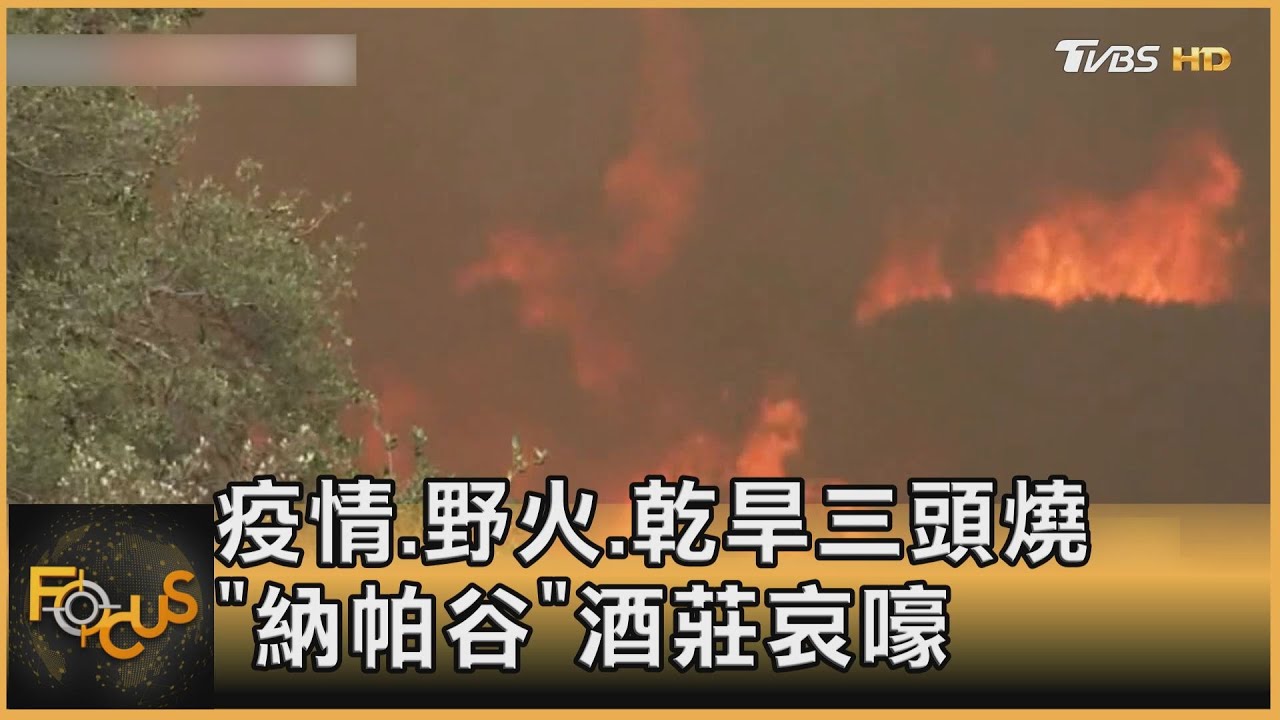 疫情.野火.乾旱三頭燒 「納帕谷」酒莊哀嚎