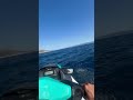 Jet Ski In Stobrec Croatia Campingstobrec Fun Summer Sea Seadoo