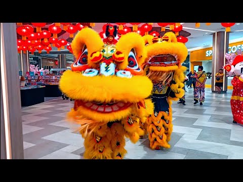 Löwentanz – Brüllen. Aufstehen. Wiederholen. 🦁🔥