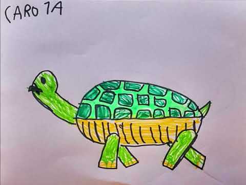 Film Kreativwettbewerb Schildkrötenlied von Daniel Dorfkind