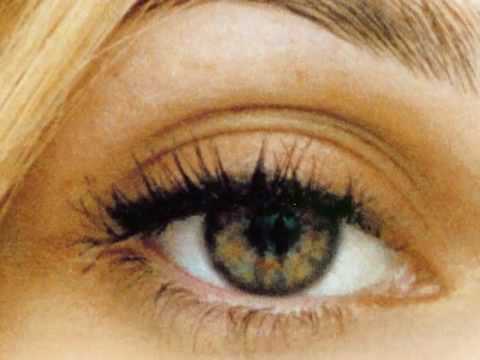 That Dog - Retreat From The Sun