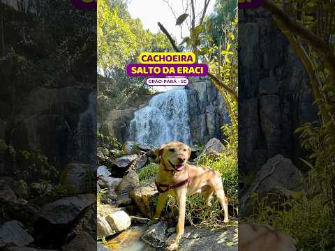 😱 TOPO fica DEBAIXO da PONTE #saltodaeraci #graopara