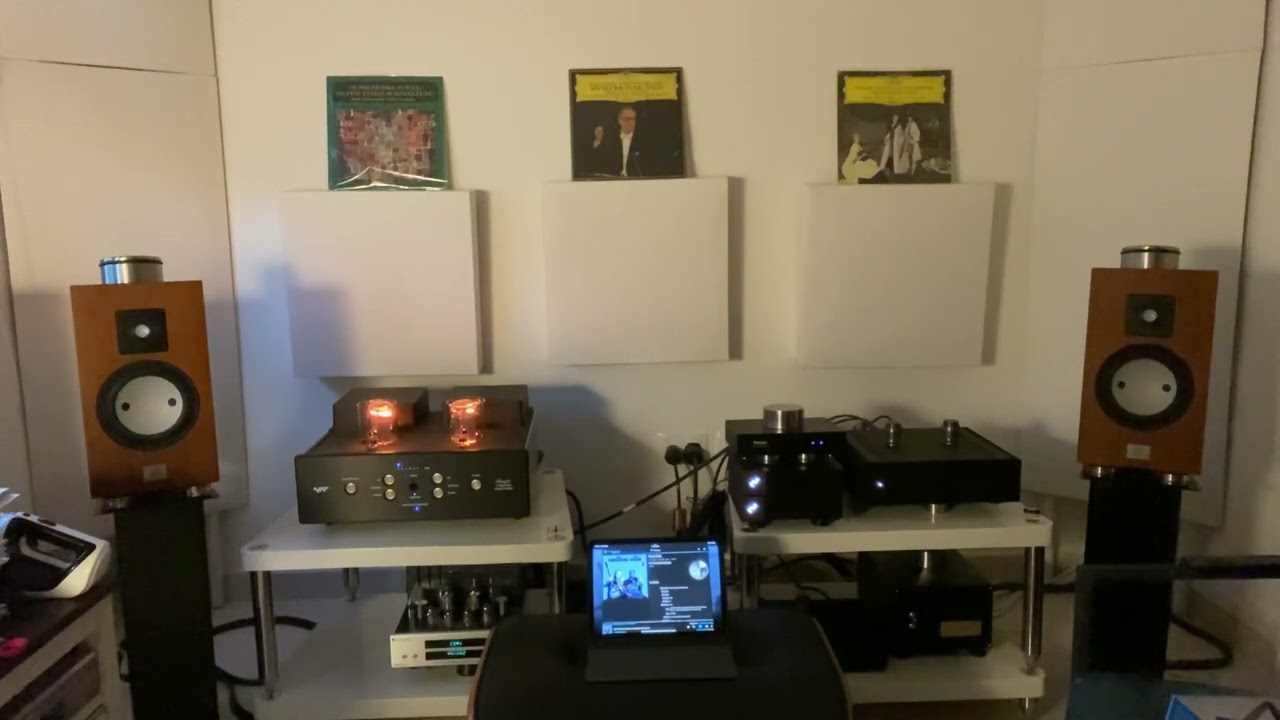 PRIMALUNA evo 100 dac - MOTHER EARTH