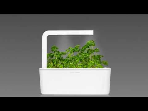 Click &amp; Grow sėklos išmaniajam vazonui - Žolelės mėsai, 9vnt. video