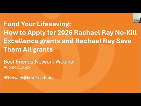Fund Your Lifesaving: How to Apply for 2026 Rachael Ray No-Kill Excellence grants and Rachael Ray Save Them All grants