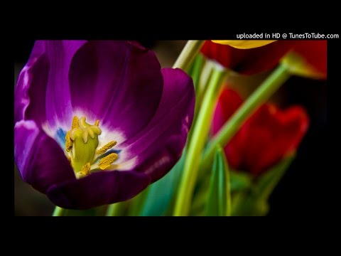 Lucian Cojocaru - Ultima zi live SUPER manea de dragoste