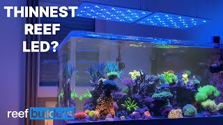 Is The ATI Straton Pro G2 The Best LED On The Market?