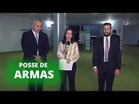 Posse de armas e LDO: expectativas para a pauta desta quarta - 21/08/19