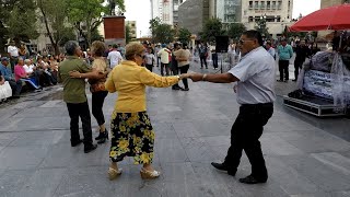 😭Llorar y llorar😪 🎹  🌷Tiene espinas el rosal🌹