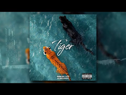 Diamond Wav and Filppu