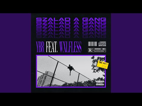 Szalad a Gang (feat. Wxlfless)