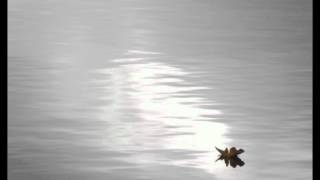 The Beta Band - To You Alone