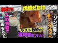 【※閲覧注意】バイオ９クリアした人だけ見て..「EDの数秒間に隠された真実」「倒して戻ると？奴は生きていた」「ゾンビ同士、戦わせると超おもろいw」【レクイエム小ネタ】