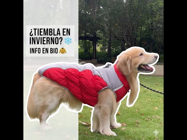 Vídeo relacionado con Dotoner Abrigo de Forro Polar cálido de Cuatro Patas para Perro,Abrigo de Invierno para Perro,Resistente al Viento,Cuerpo Completo,Acogedor Pijama Traje para pequeños,medianos y