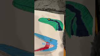 Mosasaurus Drawing! What should I draw next?! #drawing #dinosaur #art