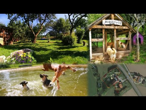 Garten Rundgang: Urlaub im bayerischen Hundeparadies - Ferienhaus und FeWo Lienlasmühle - 10 Hunde