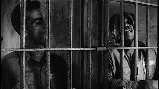 Lost 1986 Footage from Down by Law Finally Unearthed! 🎞️