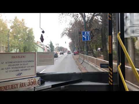 Eger 14-es busz (Bazilika-Lajosváros)