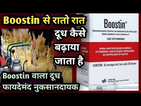 Use of #Boostin इससे रातों-रात पशुओं का दूध कैसे बढ़ाया जाता है?||क्या घातक नुकसानदायक