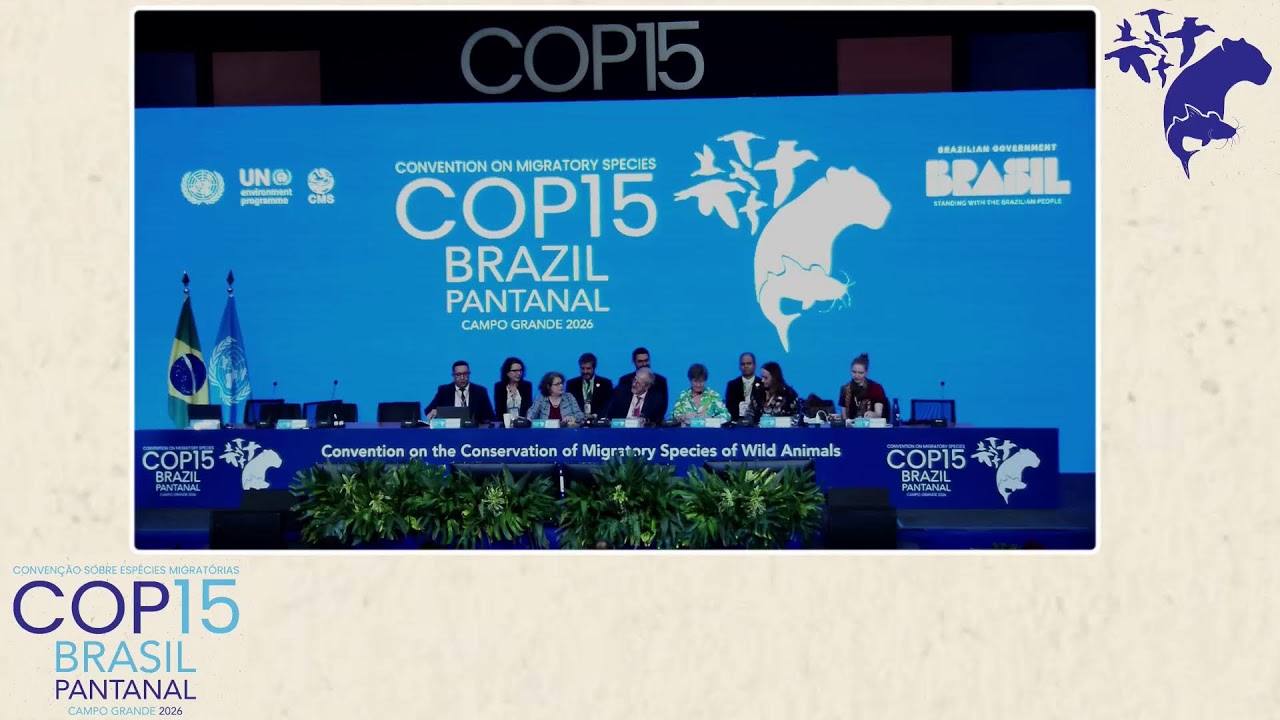 CMS COP15 - Closing day [FR] / 29 March plenary afternoon session