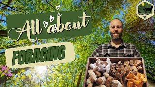 Foraging for Wild Mushrooms – Educational Nature Walk & ID Tips