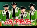 El Mar y La Esperanza- Los Canelos de Durango