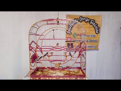 Gaiola de luxo para curio do amigo Adolfo  São Paulo watthzap 87998109718