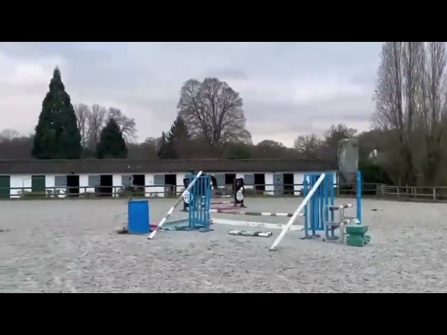  4 ans tr&egrave;s gentil id&eacute;al cheval de famille